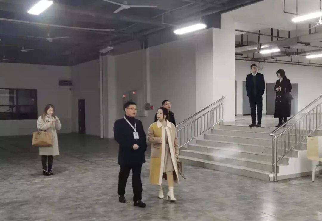 评估验收促提升•专家引领谋发展